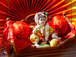 Janmashtami celebration @ Chinmaya Gokul